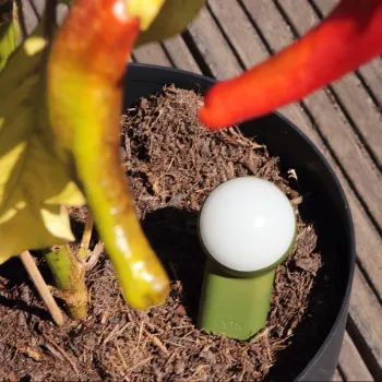 Preview: FYTA 2.0 Beam (Stablänge wählbar)